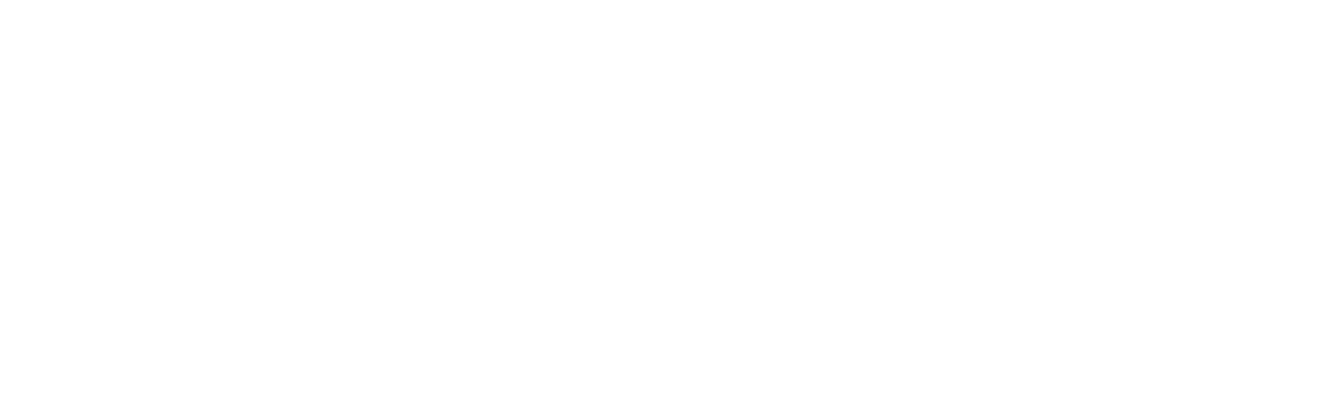 FAACT - Footer Logo