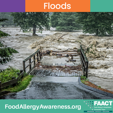 "Floods" with flood going over brdge