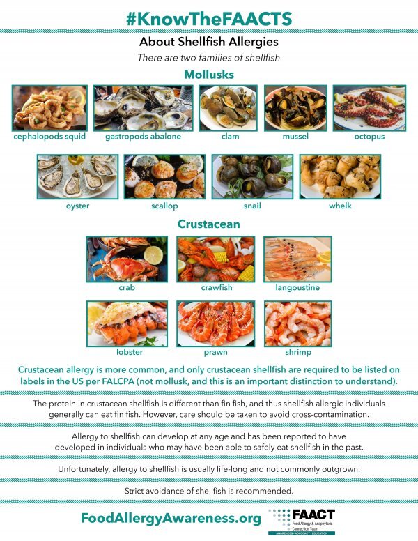 About Shellfish Allergies